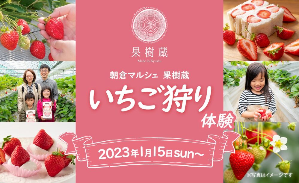 【2023年は終了しました】『朝倉マルシェ 果樹蔵』2023年いちご狩り体験、予約受付スタート！